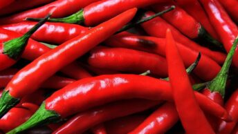 Pimenta