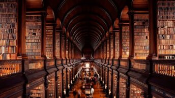 biblioteca