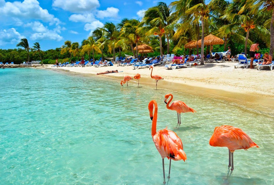 4 problemas mais comuns com temporada que o aviao cai em grey's anatomy Aprenda como começar temporada que o aviao cai em grey's anatomy