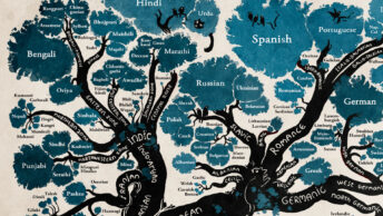 Mapa de línguas