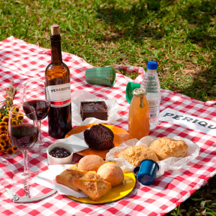 Piquenique, picnic